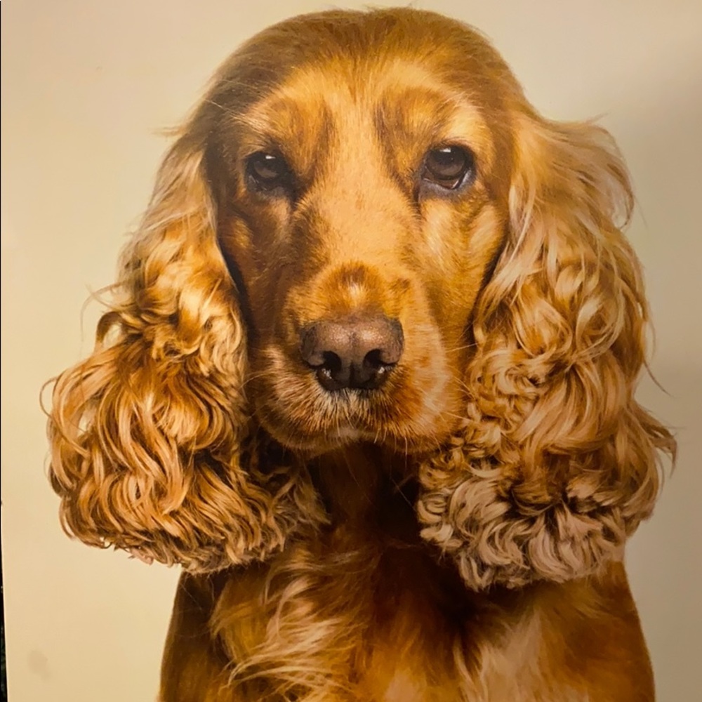 Meet your Posher, Ritavictoria